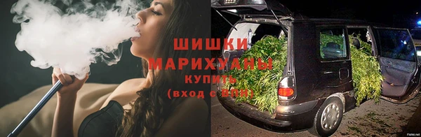 стаф Новокубанск