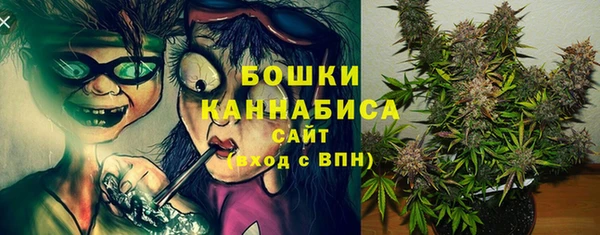 стаф Новокубанск