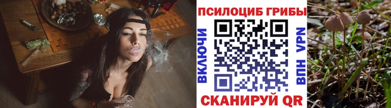 что такое   Рассказово  Псилоцибиновые грибы Psilocybe 